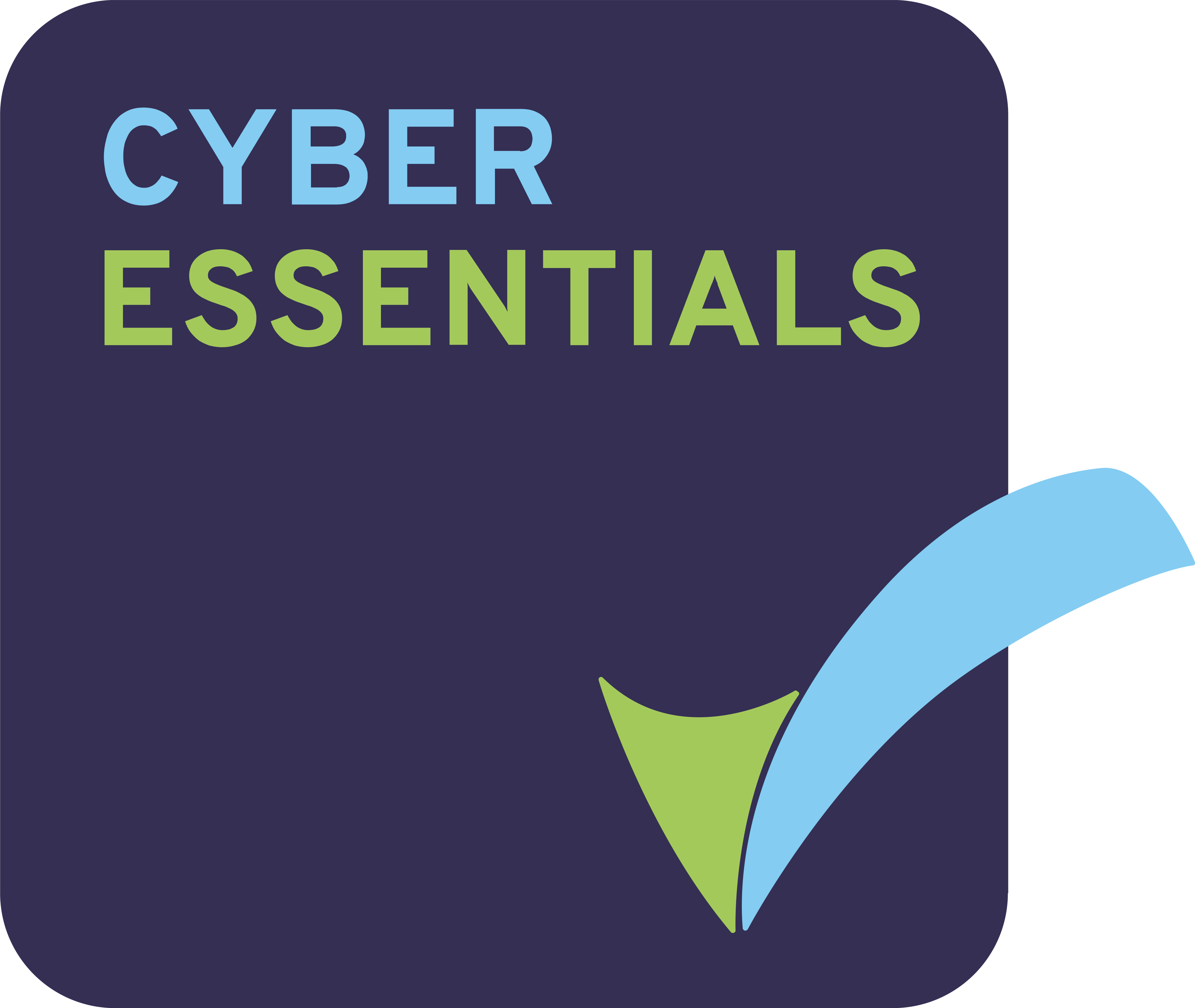 Cyber Essentials icon